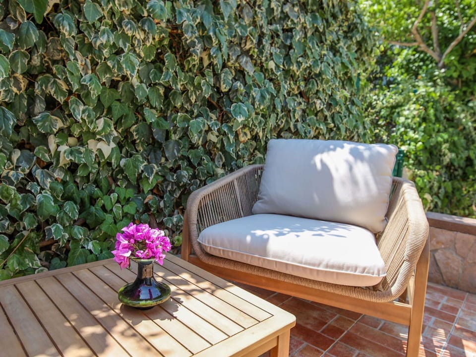 Outdoor Furniture, Garden, Shade, Houseplant, Flowerpot, Wicker, Backyard, Herb