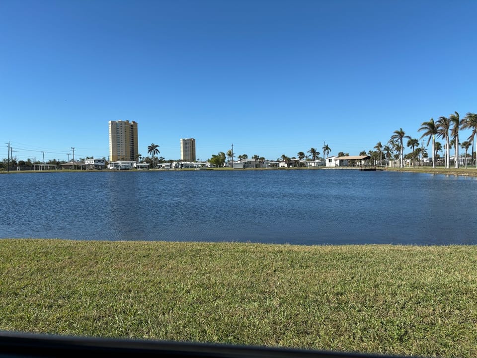 Swan Lake located in the park