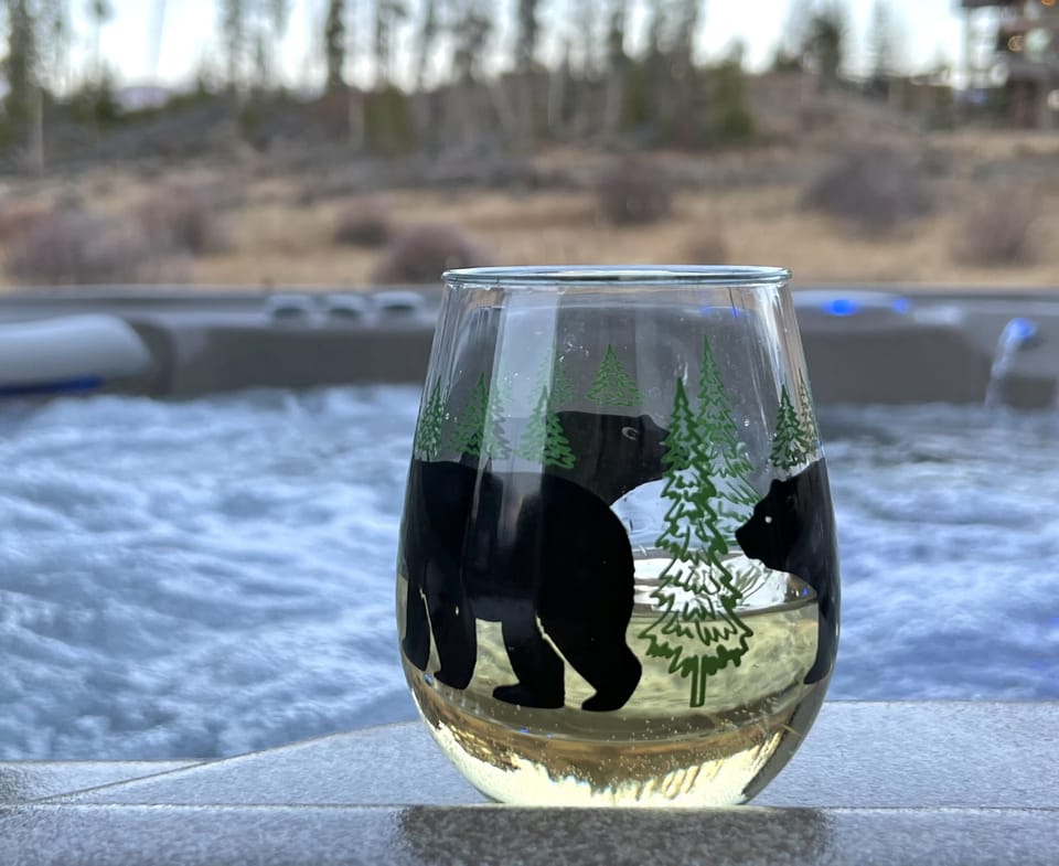 Apres Ski in a brand new private hot tub