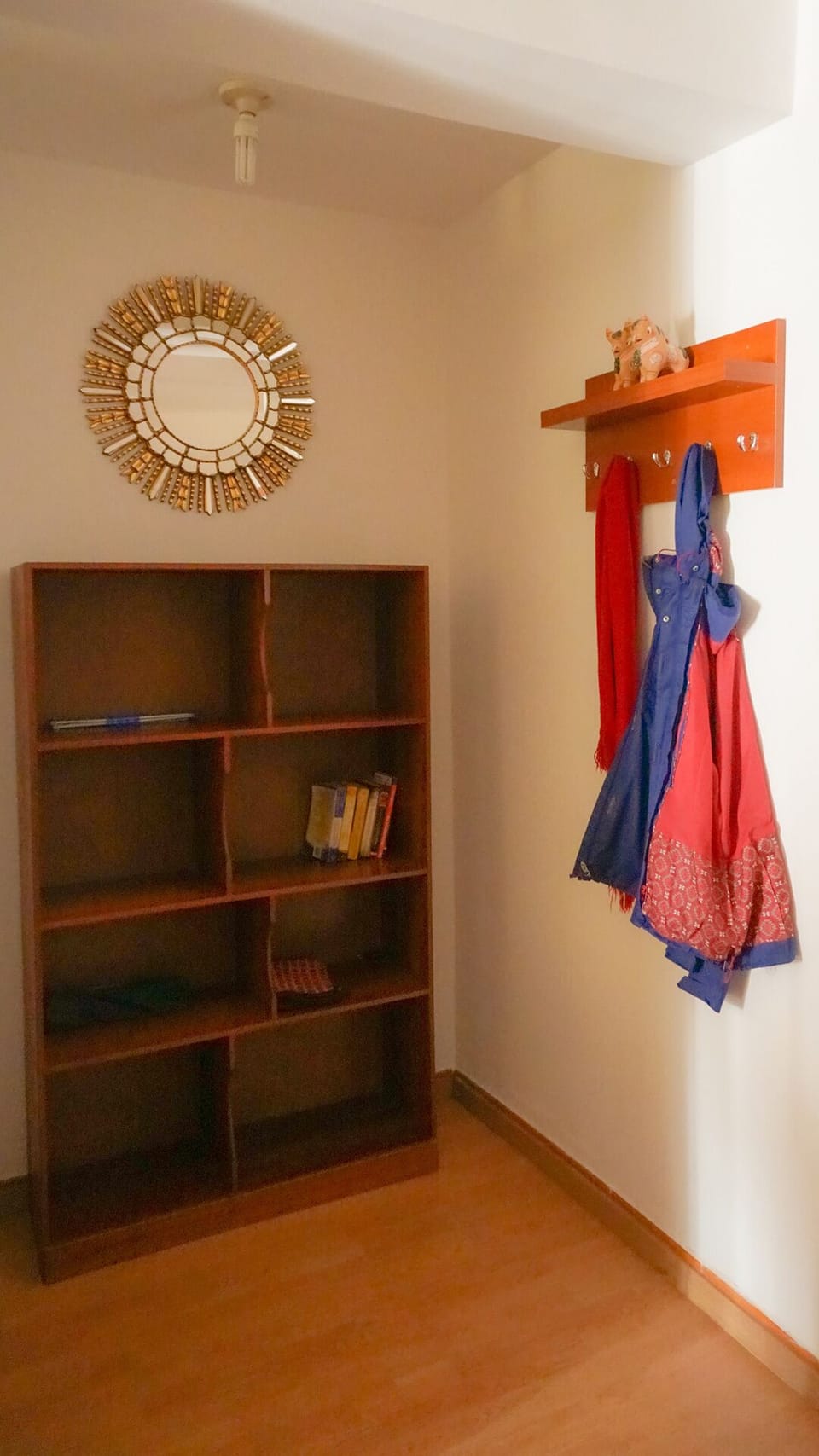 Bookcase and clothes hanger