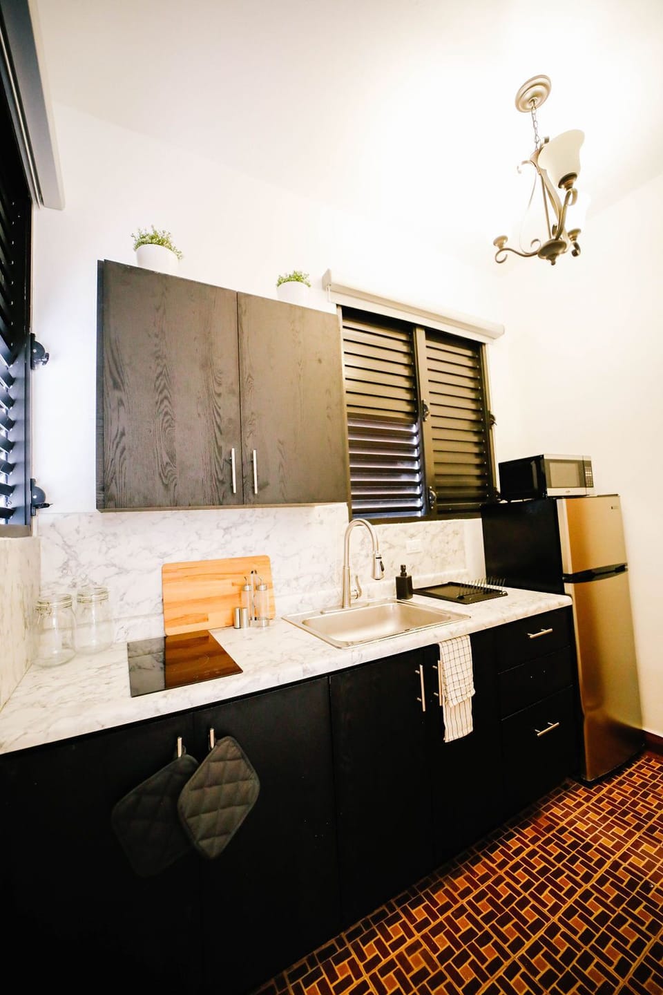 Fully equipped kitchen w/ Induction Stove, blender, coffee, sugar and +.