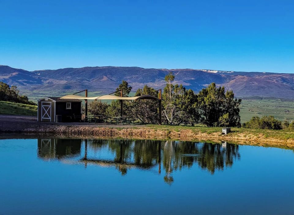 Incredible views from the pond
