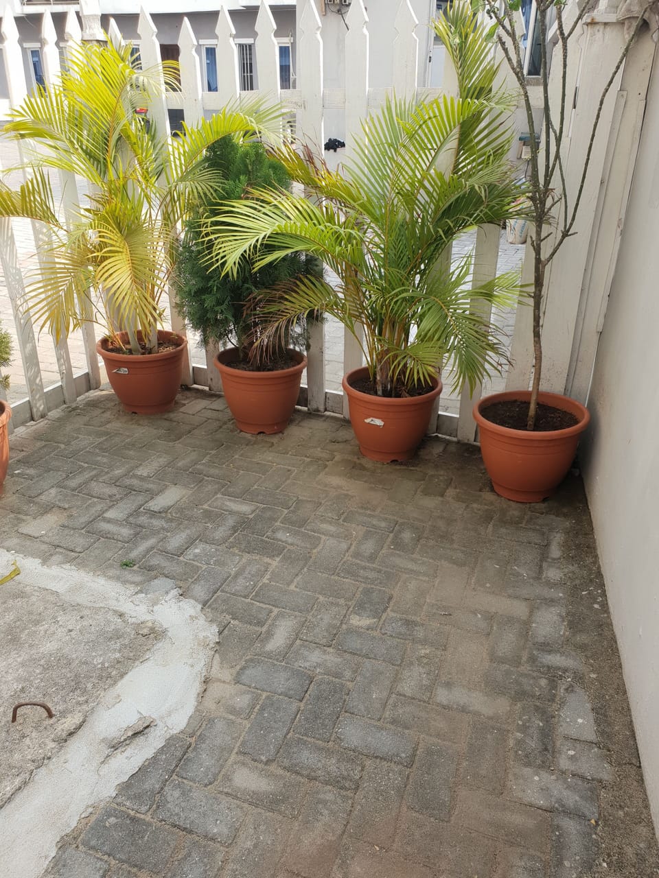 GREEN AREA BESIDE TERRACE DUPLEX - Another View 