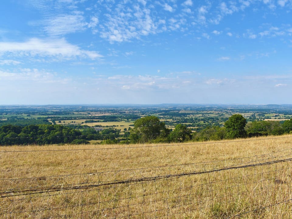 Surrounding area | Foxglove, Ibberton, Blandford Forum