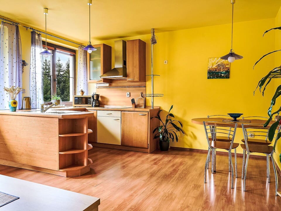 Cabinetry, Furniture, Countertop, Chair, Window, Kitchen, Wood, Table, Houseplant, Plant