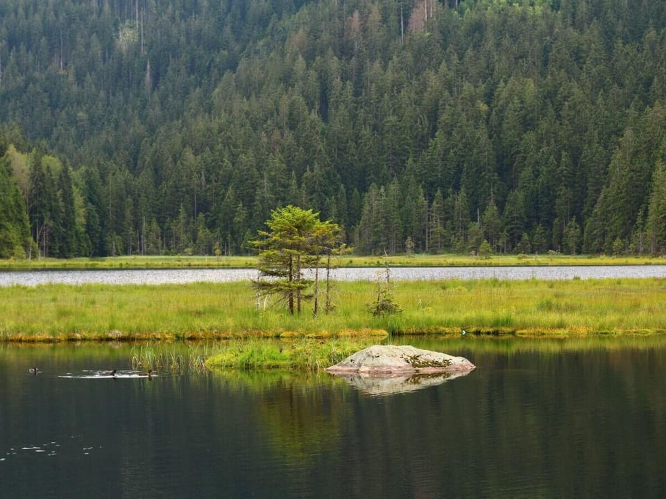 Lake