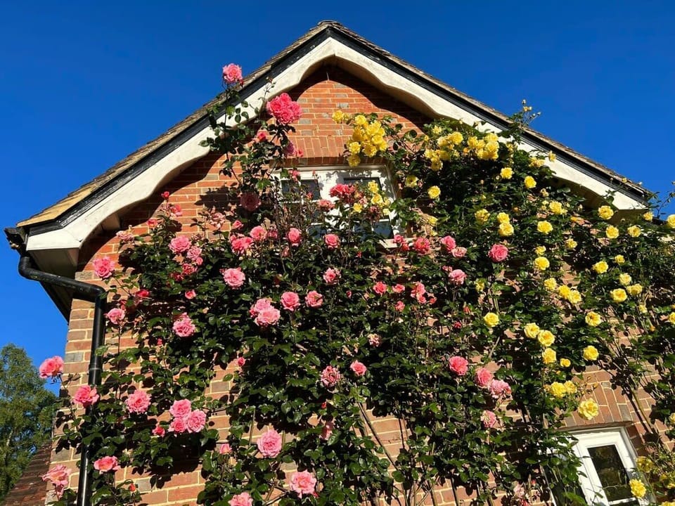 Cottage with flowers :)