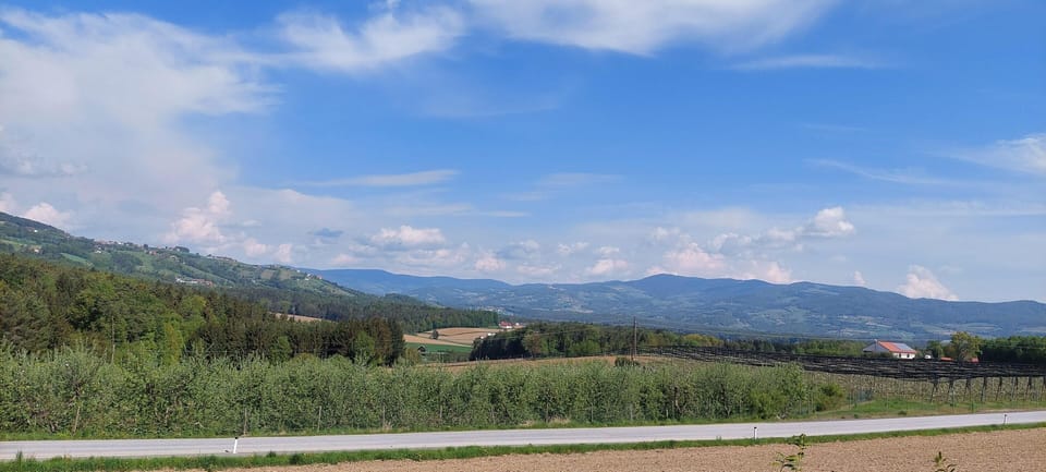 Haus im Grünen - Thermenregion - bei Kaindorf bei Hartberg Stubenbergsee Apartment in Styria