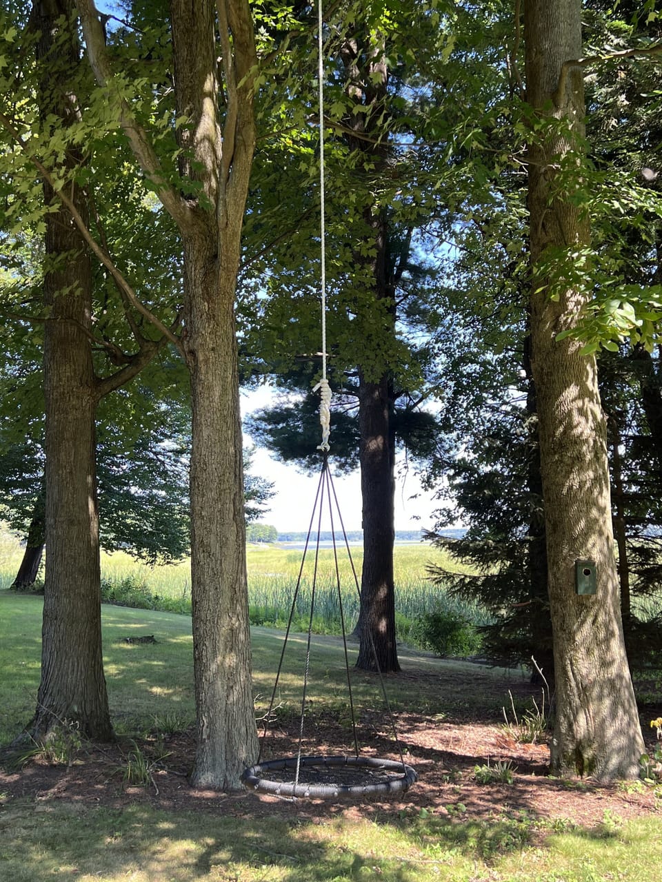 Swing to relax 