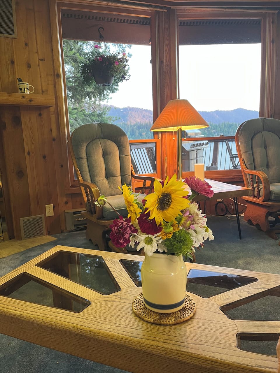 View from brand new living room couch