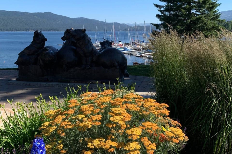 McCall, ID full bloom in summer!