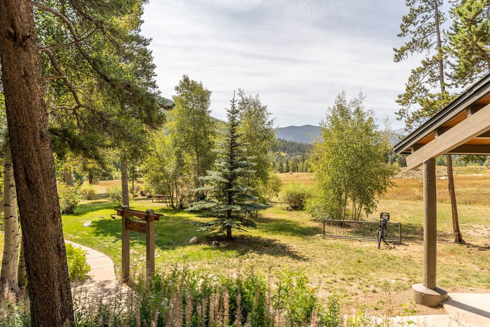 View from the balcony during the summer.