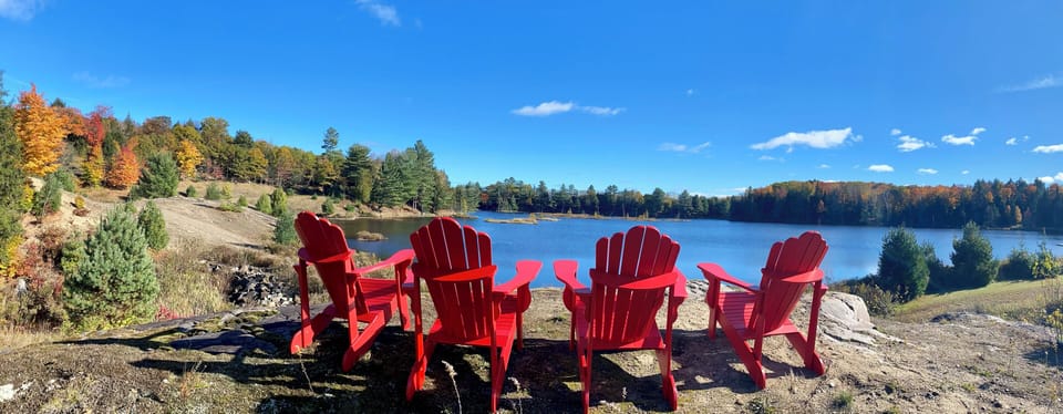 View from the "rock" 2024