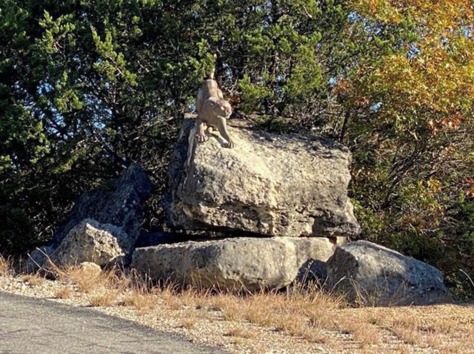 The only mountain lion we hope to see on the ranch (it's a statue)