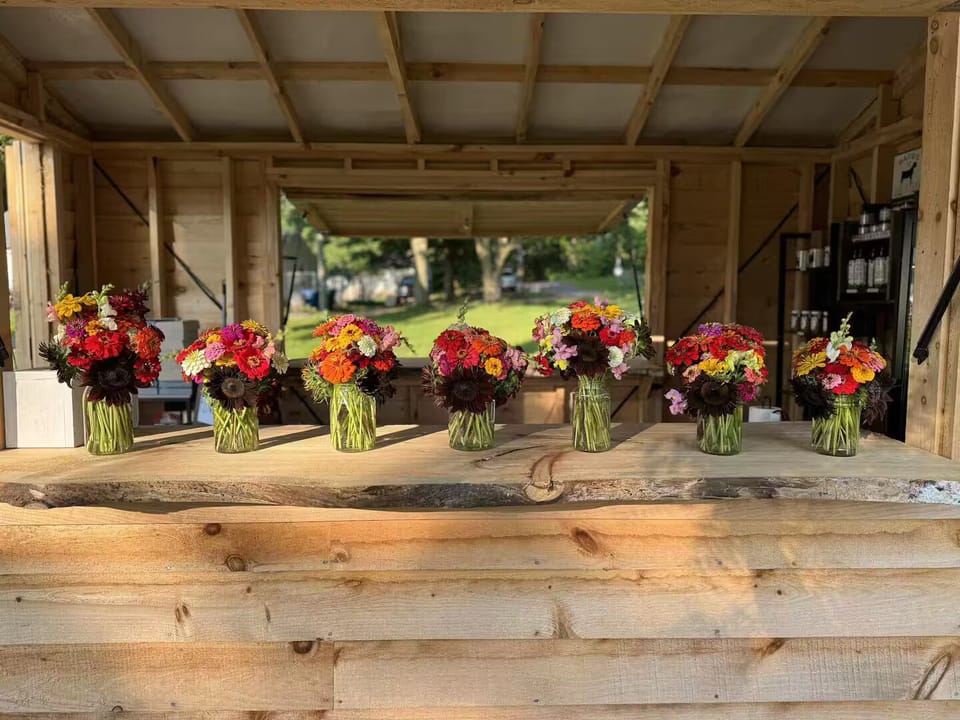 Purchase cut flowers or u-pick during your farm stay.