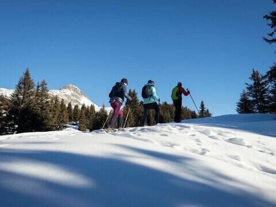 Snow and ski sports