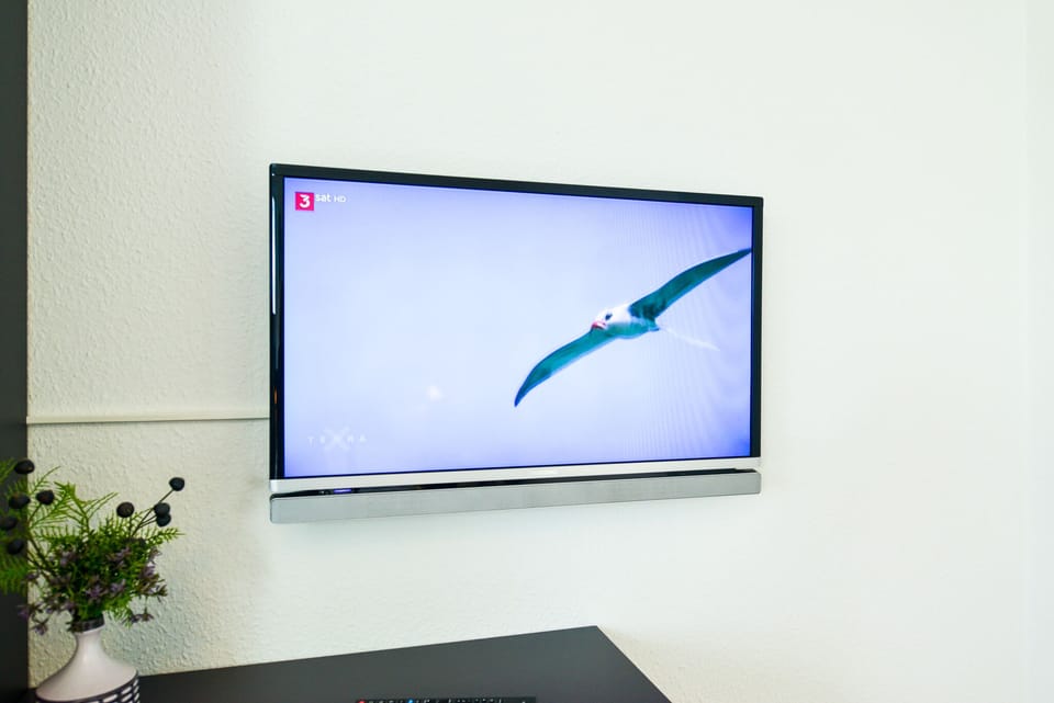 Television