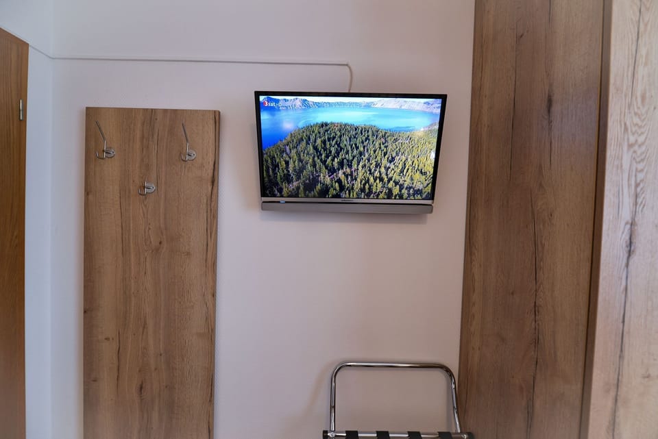 Television