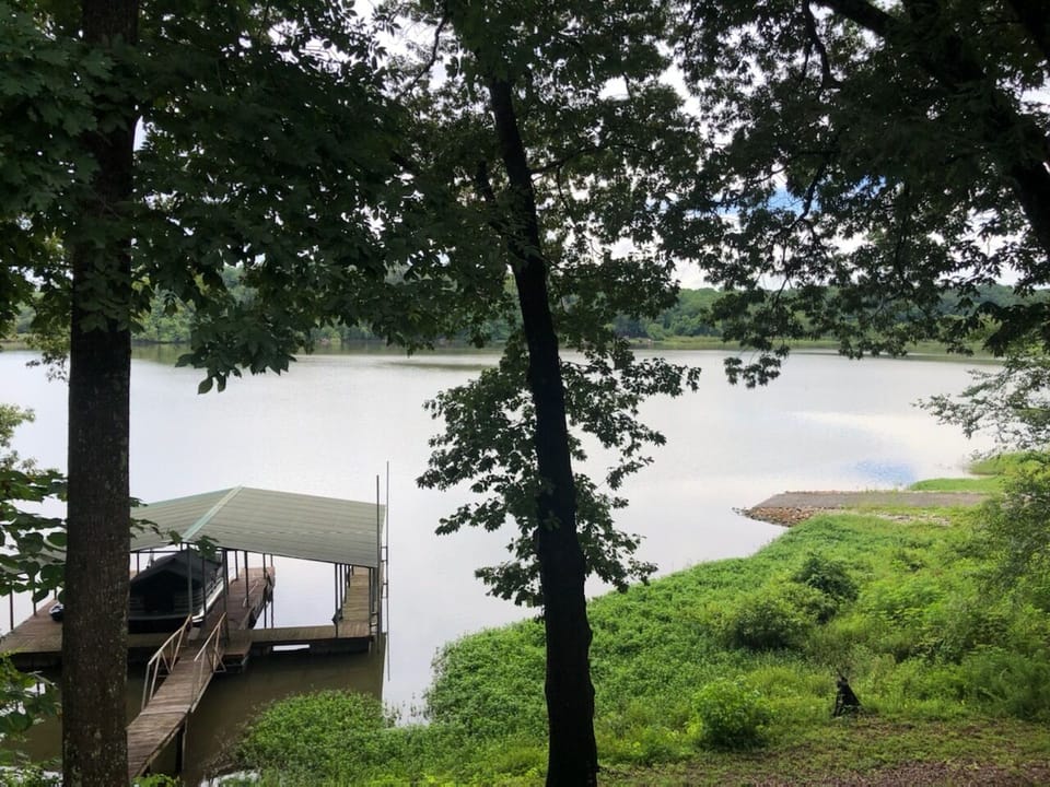 Summer view from the back deck