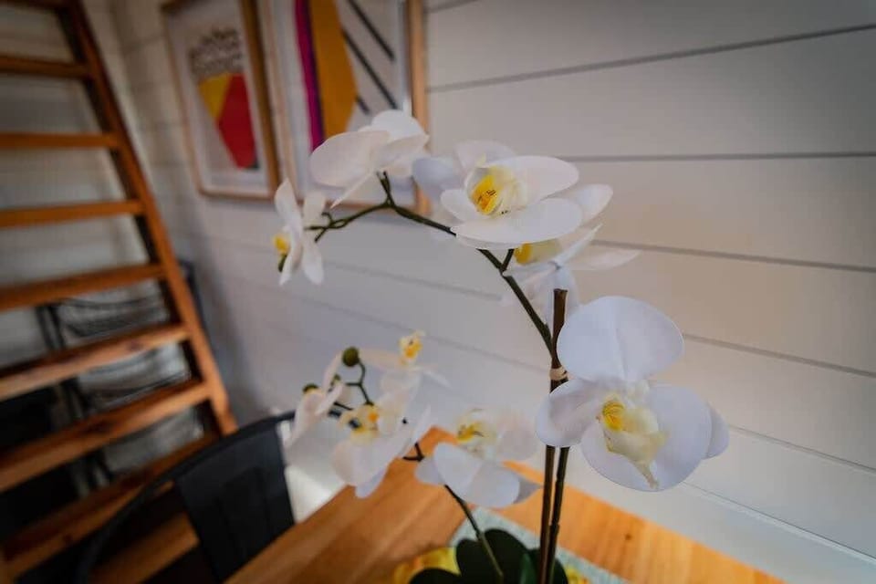 We hope you love all the sweet touches around this tiny space!