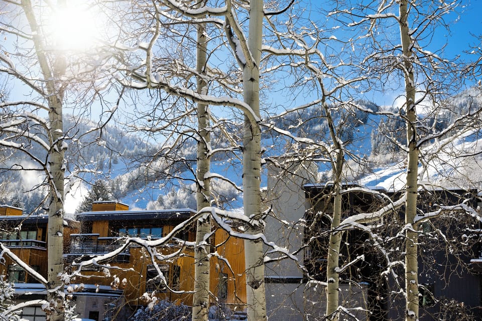 Aspen Mountain view from front patio