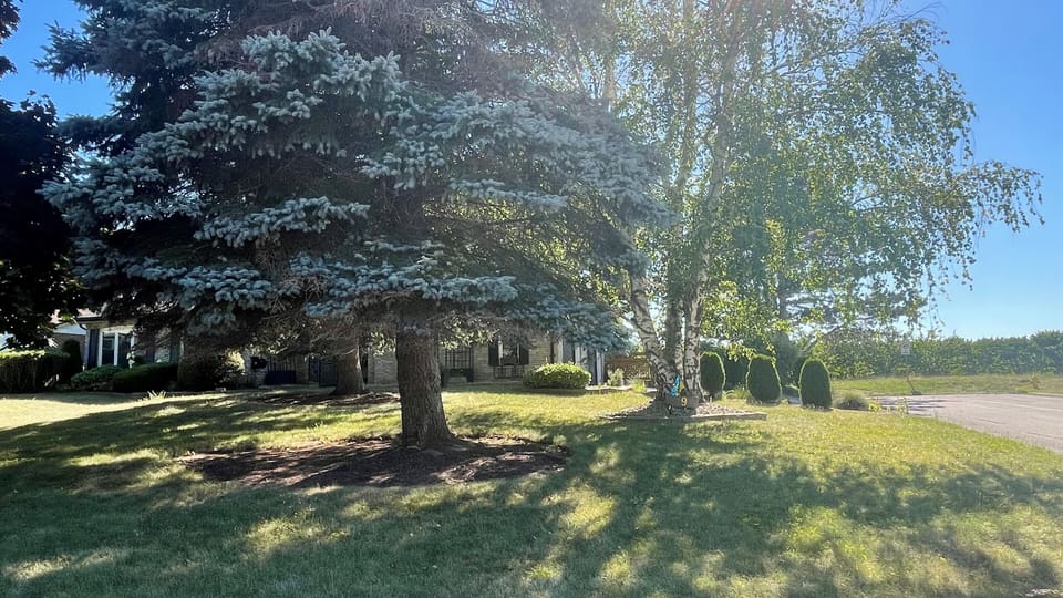 Welcome to our Orchard House!