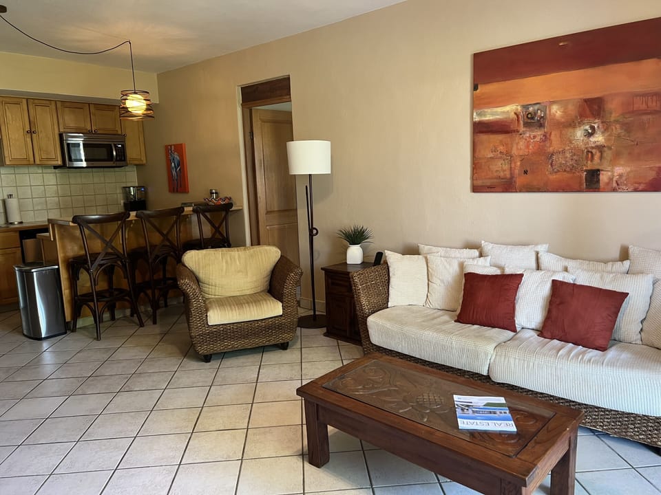 Living room and Kitchen