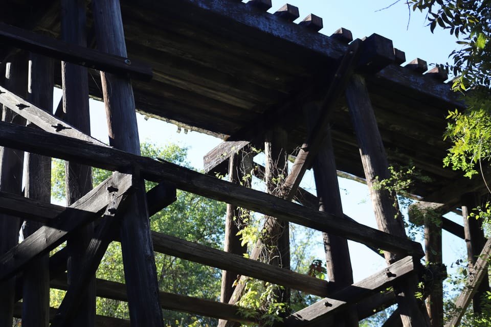 Old train bridge that crosses a tributary. Have to kayak/canoe to see this one. 