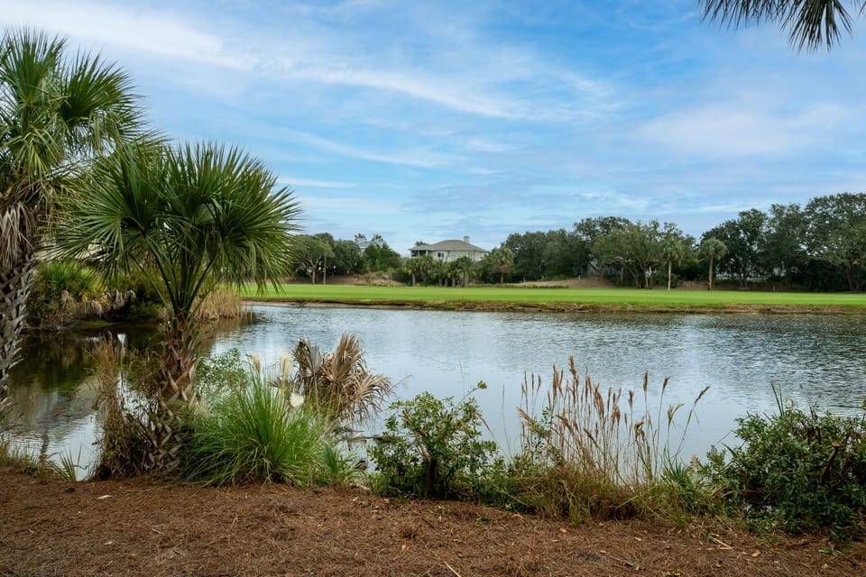More magnificent views of the pond and golf course from the patio.