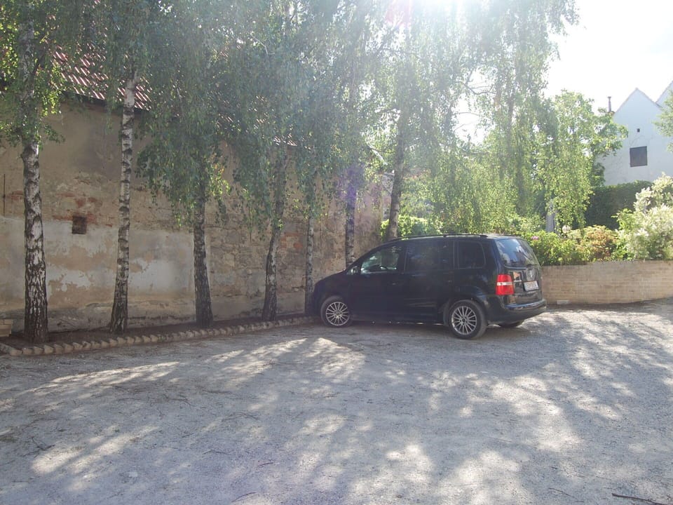 Wheel, Car, Plant, Vehicle, Automotive Tire, Motor Vehicle, Tree