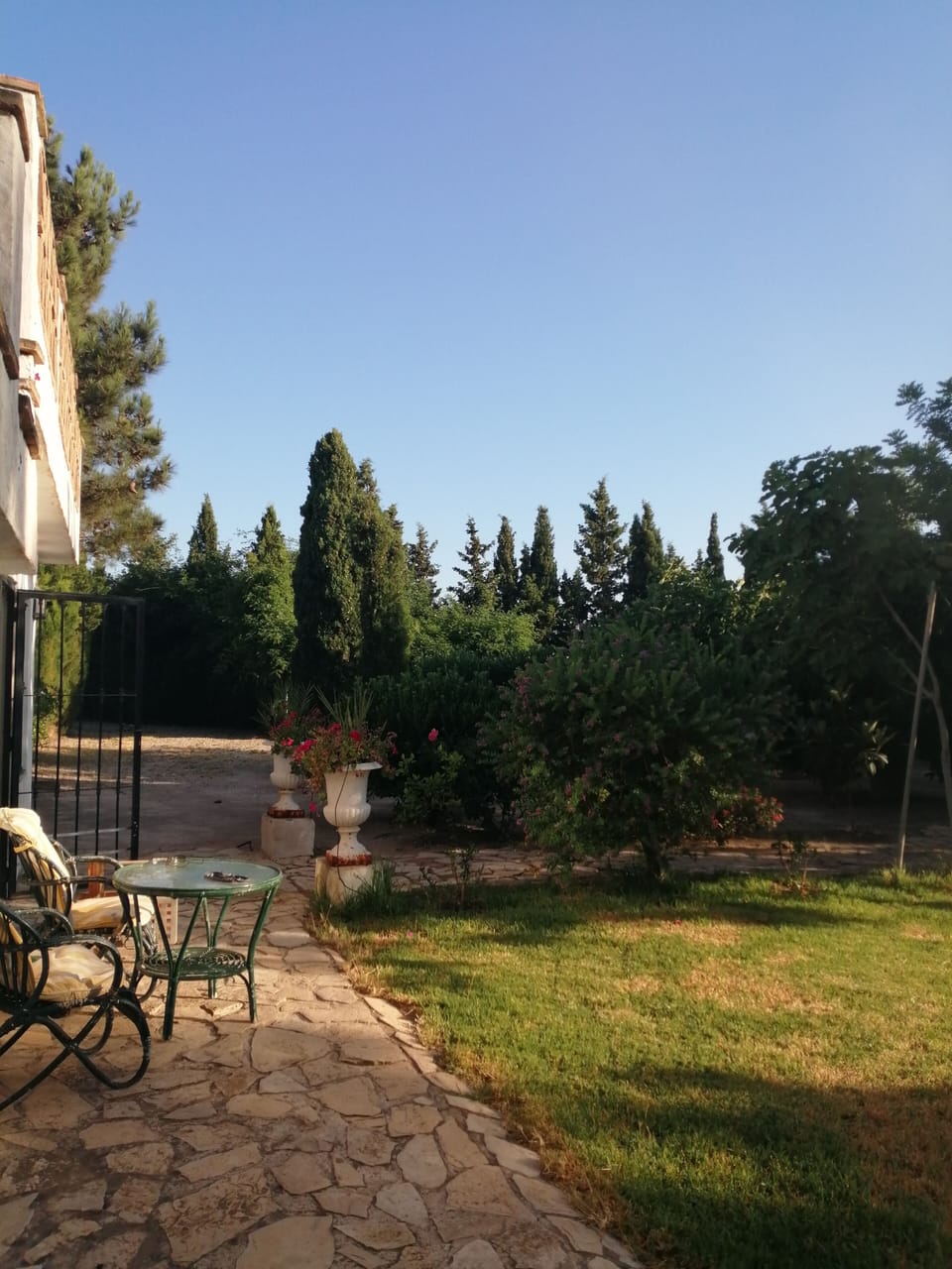 Terrace/patio