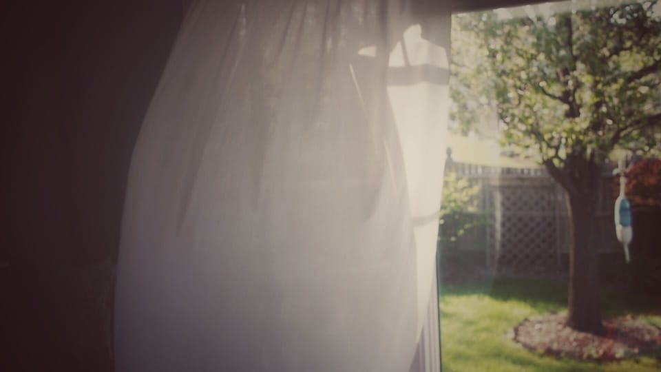 View into the garden from the living room 
