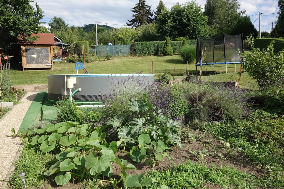 Garden with pool