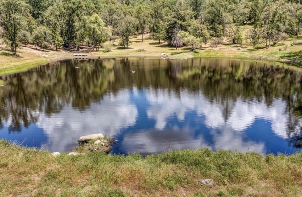 Year round pond for kayaking, fishing, or just viewing wildlife