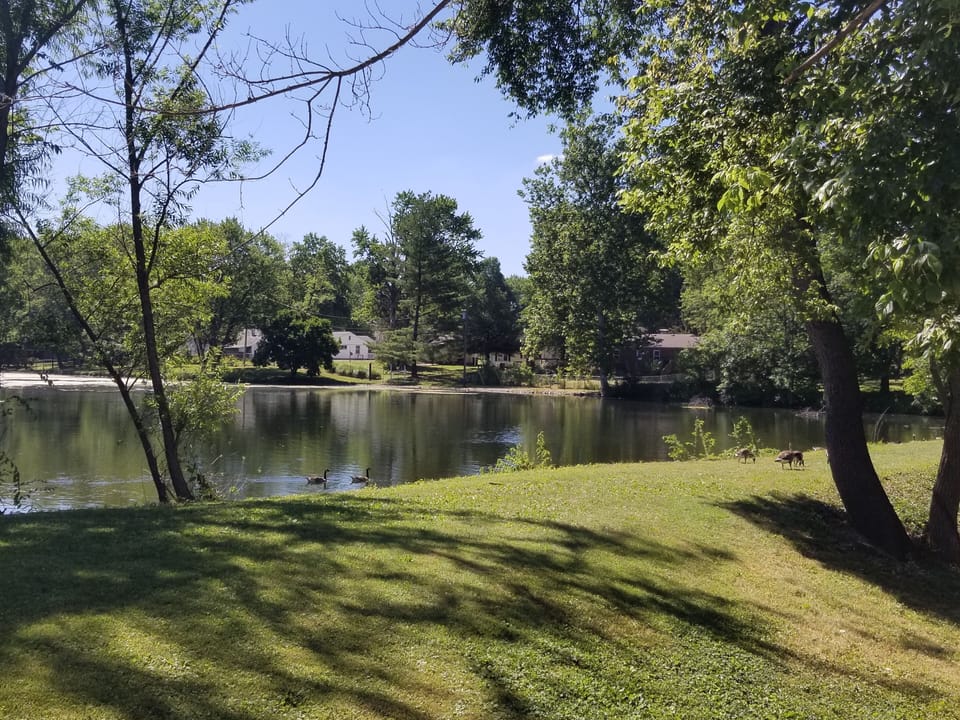 Tranquil view from patio. 