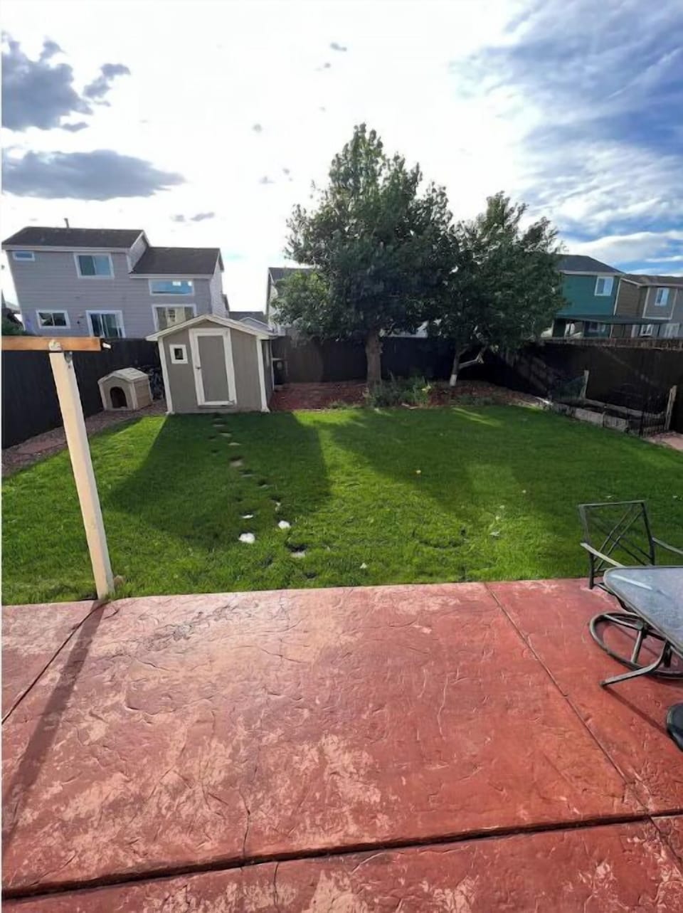 Back yard