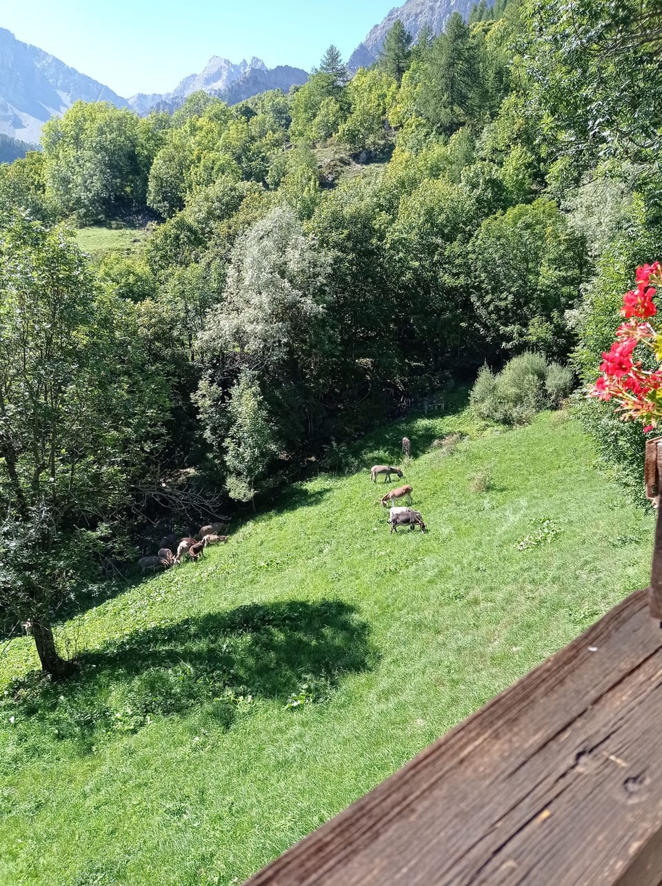 View from property