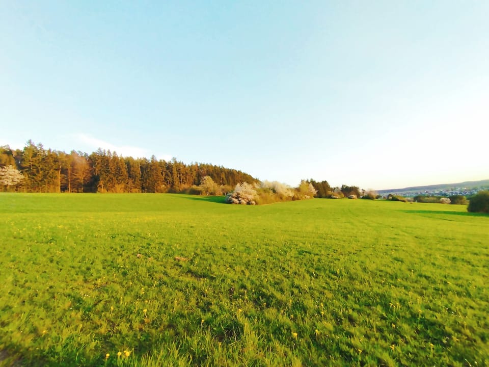 Tolle Wanderwege und Aussicht in unmittelbarer Nähe (ca.80m) (2)