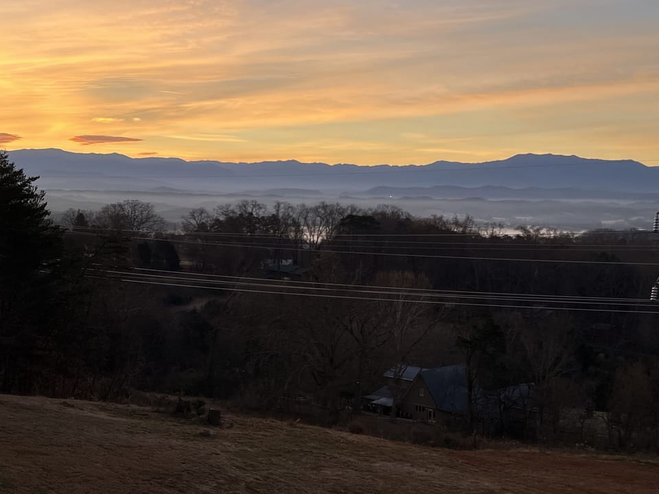 view from back porch 