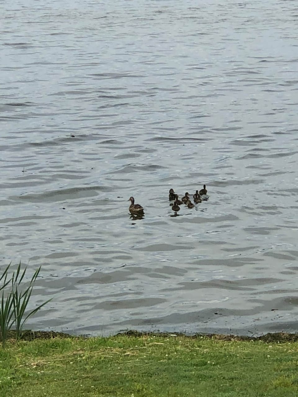 Enjoy nature and the wildlife