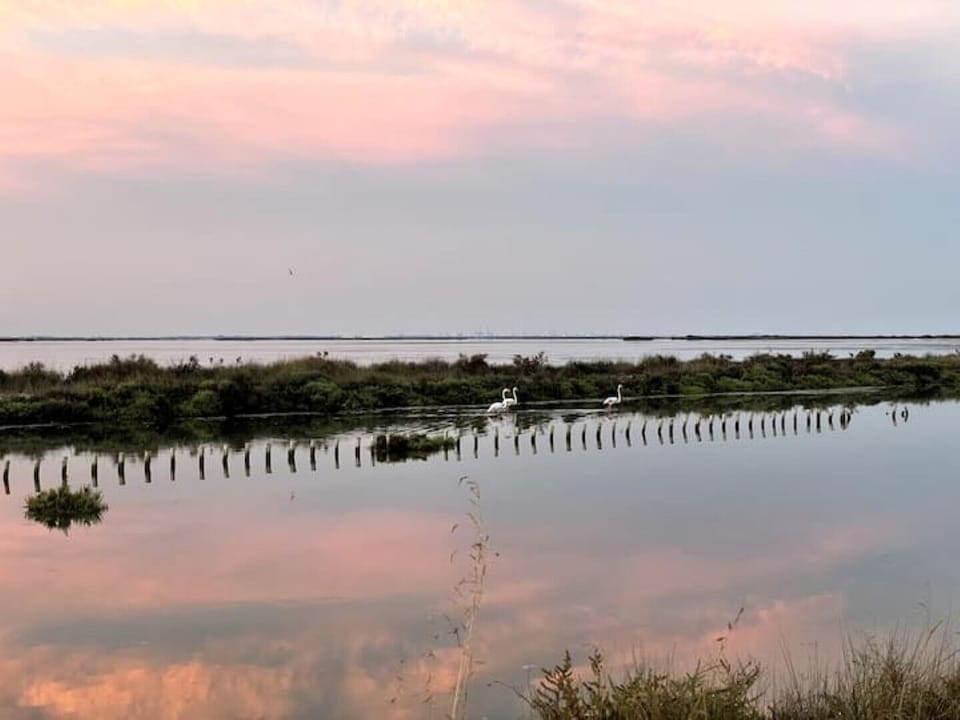 The Camargue/Les Salins on your doorstep