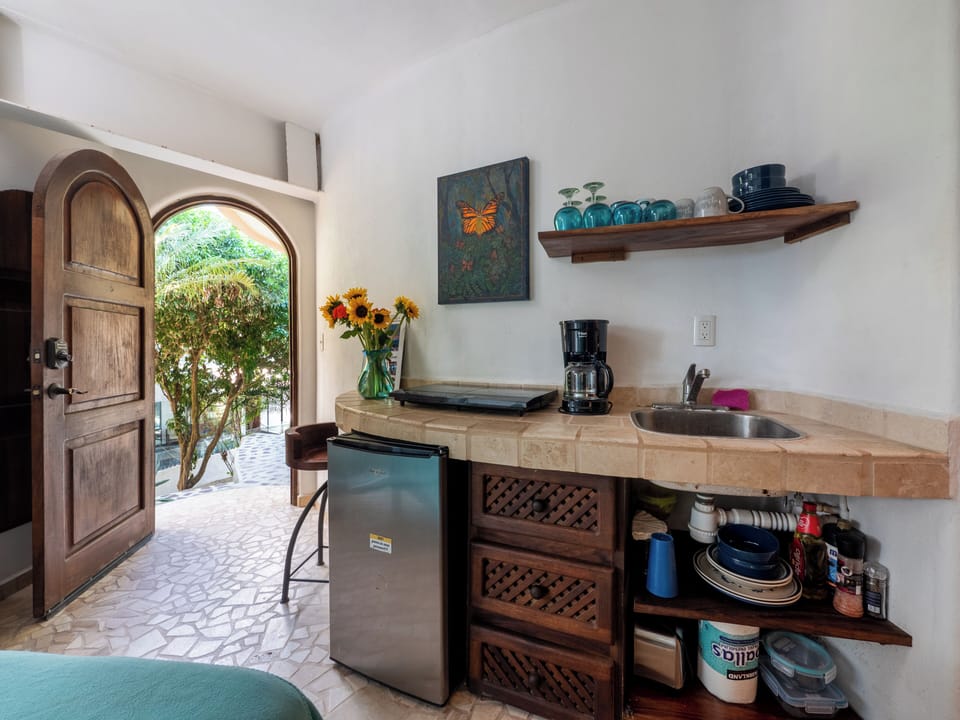 entrance door and kitchenette