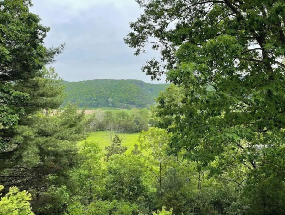 Springtime view