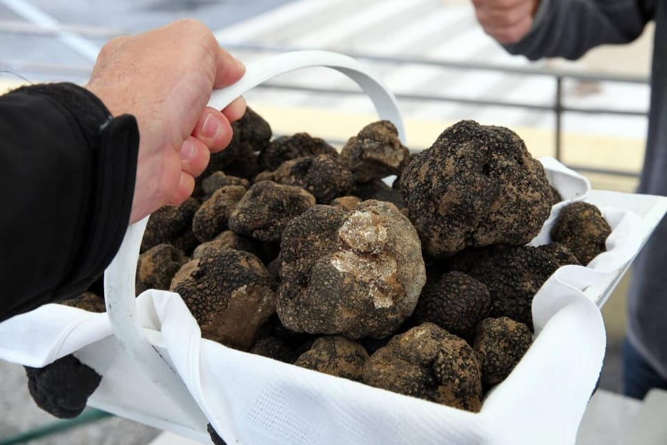 Town/city in general