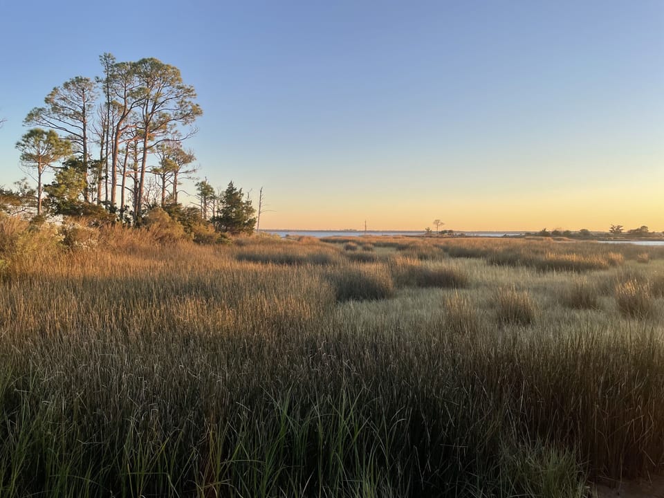 Mashes Sands Park includes boat ramp and kayak launch.
