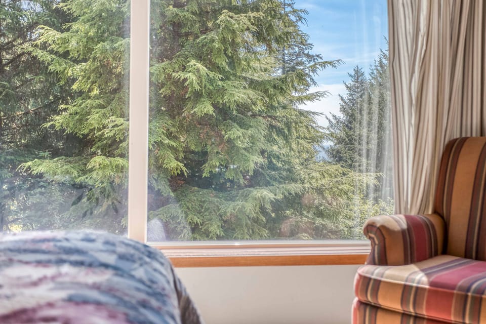 Queen Bed Window View