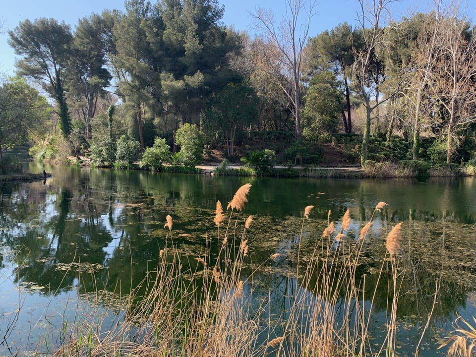 Lake