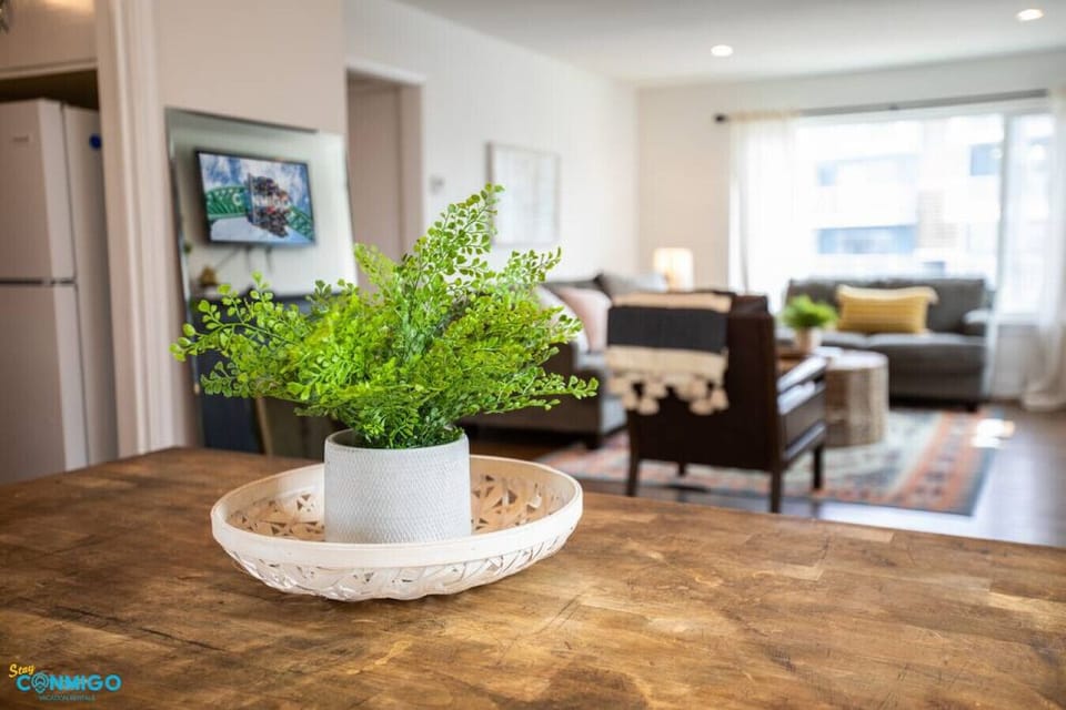 Indoor plant adding a natural touch to the space