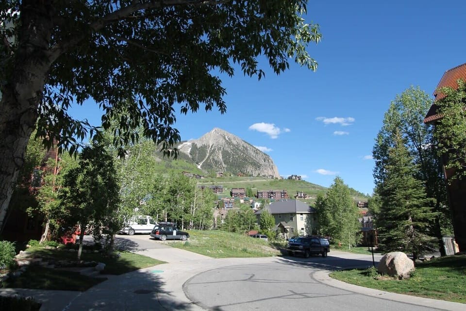 View from the front yard