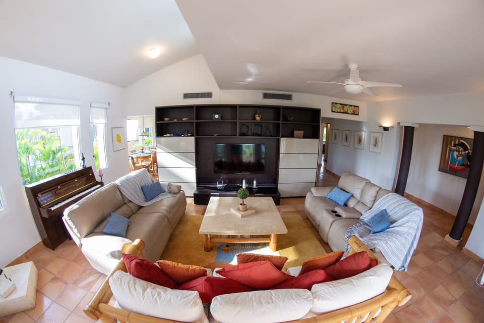 Upholstered, deep-cushion, couches with color-coordinated throw cushions.
